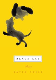 black lab (ebook)-david young-9780307494153