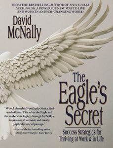 -david mcnally-9780804153553
