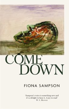 come down (ebook)-fiona sampson-9781472155153