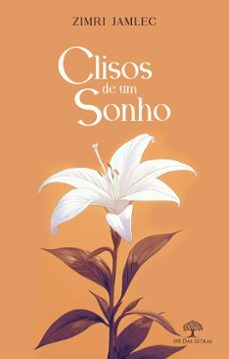 clisos de um sonho (ebook)-zimri jamlec-9786552394453