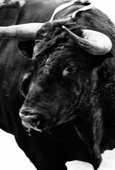 sangre de reyes-carlos cazalis-9788416282753