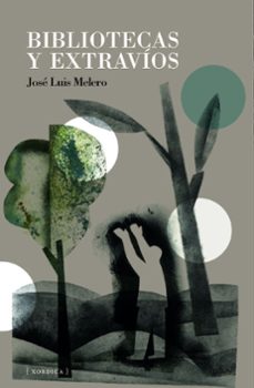 bibliotecas y extravios-jose luis melero rivas-9788416461653