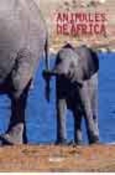 (pe) animales de africa-9788424185053