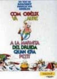 com obelix va caure a la marmita del druida quan era petit-9788434568853