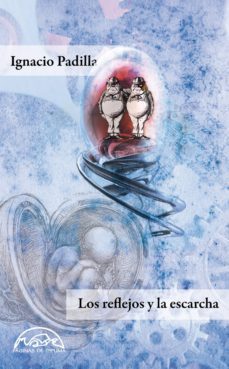 los reflejos y la escarcha (ebook)-9788483935453
