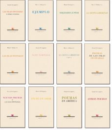 poesia completa (estuche 12 vols.)-manuel altolaguirre-9788484723653