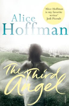 the third angel-alice hoffman-9781407020563