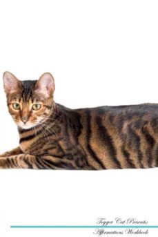 toyger cat affirmations workbook toyger cat presents-9781526976963