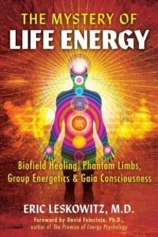 the mystery of life energy-eric leskowitz-9781591434863