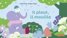 il pleut, il mouille (ebook)-sandrine beau-9782203233263