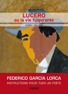 lucero ou la vie fulgurante (ebook)-anibal malvar-9782365331463