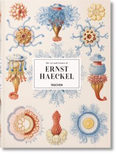 the art and science of ernst haeckel-rainer willmann-julia voss-9783836526463