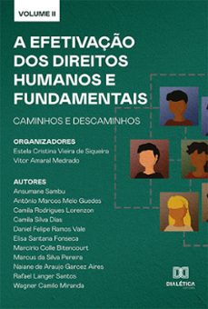 a efetivaço dos direitos humanos e fundamentais (ebook)-estela cristina vieira de siqueira-vitor amaral medrado-9786525247663