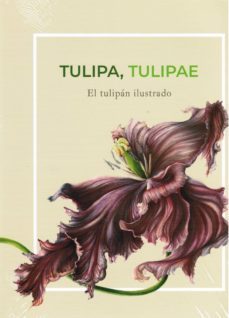 tulipa, tulipae: el tulipan ilustrado-9788400103163