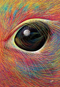 las ideas son criaturas extrañas-isabelle simler-9788418702563