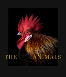 the animals (edicion bilingue español/ingles)-estela de castro-9788418934063