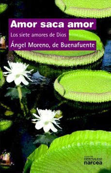 amor saca amor (ebook)-9788427720763