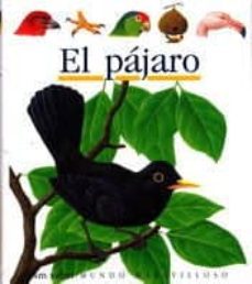 el pajaro-9788434837263