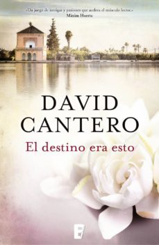 el destino era esto (ebook)-david cantero-9788490695463