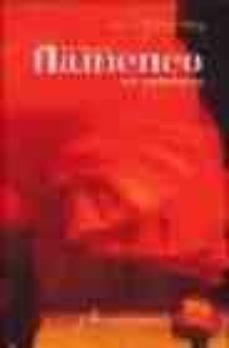 rutas del flamenco en andalucia-juan vergillos-9788496556263