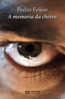 a memoria da choiva (ebook)-pedro feijoo-9788499145563