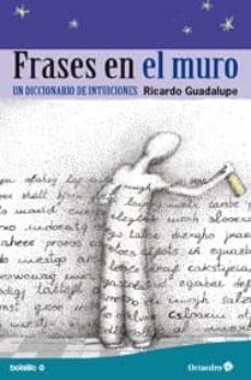 frases en el muro: un diccionario de intuiciones-ricardo guadalupe-9788499212463