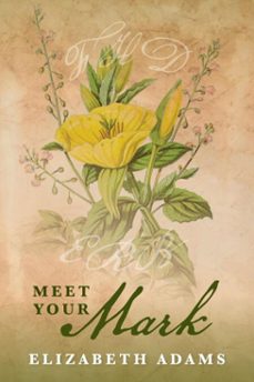 meet your mark (ebook)-elizabeth adams-9798227595263
