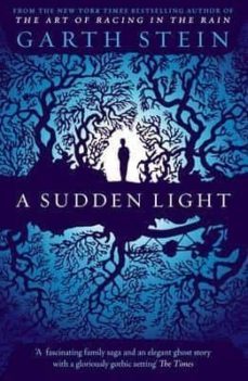 a sudden light-9780857205773