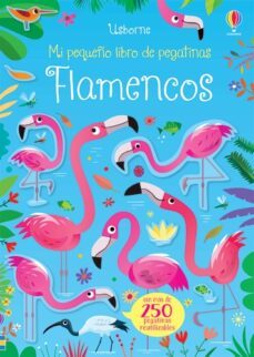 flamencos-kirsteen robson-9781474979573