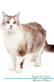 ragdoll cat affirmations workbook ragdoll cat presents-9781526974273