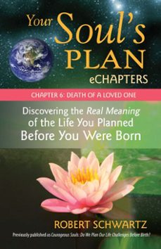 your soul's plan echapters - chapter 6: death of a loved one (ebook)-robert schwartz-9781583946473