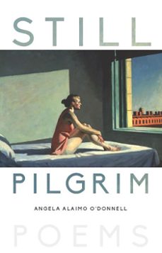 still pilgrim (ebook)-angela alaimo o'donnell-9781612619873