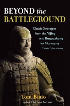 beyond the battleground (ebook)-tom bisio-9781623170073