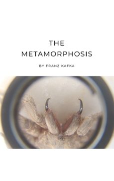 -franz kafka-9782380377873