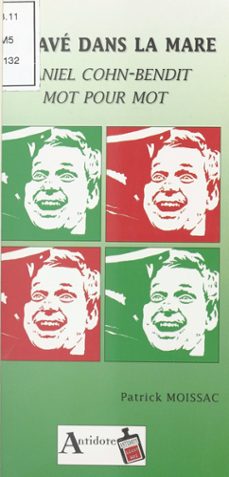 un pave dans la mare (ebook)-daniel cohn bendit-patrick banon-9782402455473