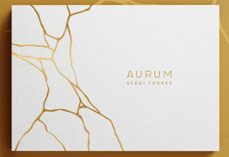 aurum-9788409480173
