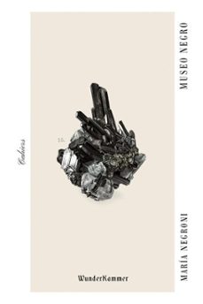 museo negro (ebook)-maria negroni-9788412743173