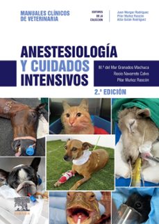 anestesiologia y cuidados intensivos (2ª ed.)-p. muñoz-9788413825373