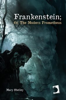 frankenstein; or, the modern prometheus (ebook)-mary shelley-9788419365873