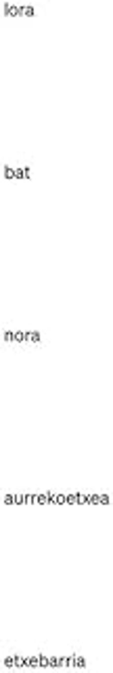 lora bat. nora aurrekoetxea etxebarría-nora aurrekoetxea etxebarria-9788419539373