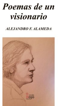 poemas de un visionario (ebook)-alejandro fernandez alameda-9788491404873