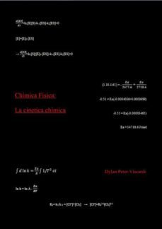 chimica fisica: la cinetica chimica (ebook)-dylan peter viscardi-9788826028873