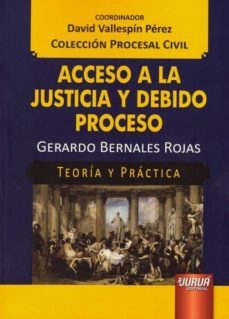 acceso a la justicia y debido proceso: teoria y practica-david vallespin perez-9789897125973