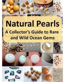 natural pearls: a collectors guide to rare and wild ocean gems (ebook)-bipin kesharwani-9798231865673