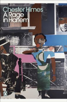 a rage in harlem-9780241521083