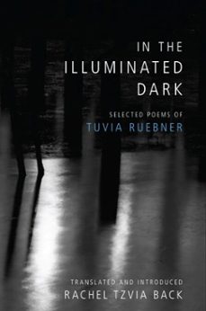 in the illuminated dark (ebook)-tuvia ruebner-9780822980483