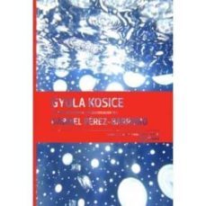 gyula kosice-9780982354483
