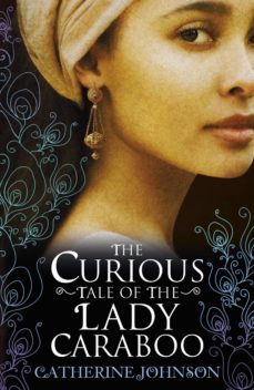 the curious tale of the lady caraboo (ebook)-catherine johnson-9781448197583