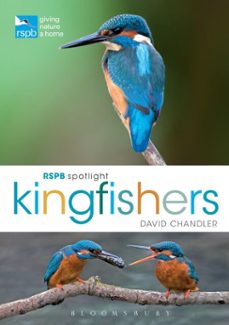 -david chandler-9781472933683