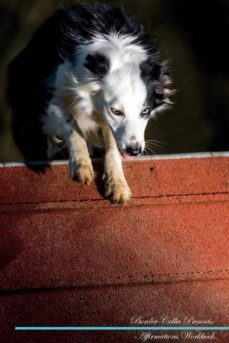 bombay cat affirmations workbook bombay cat presents-9781526966483